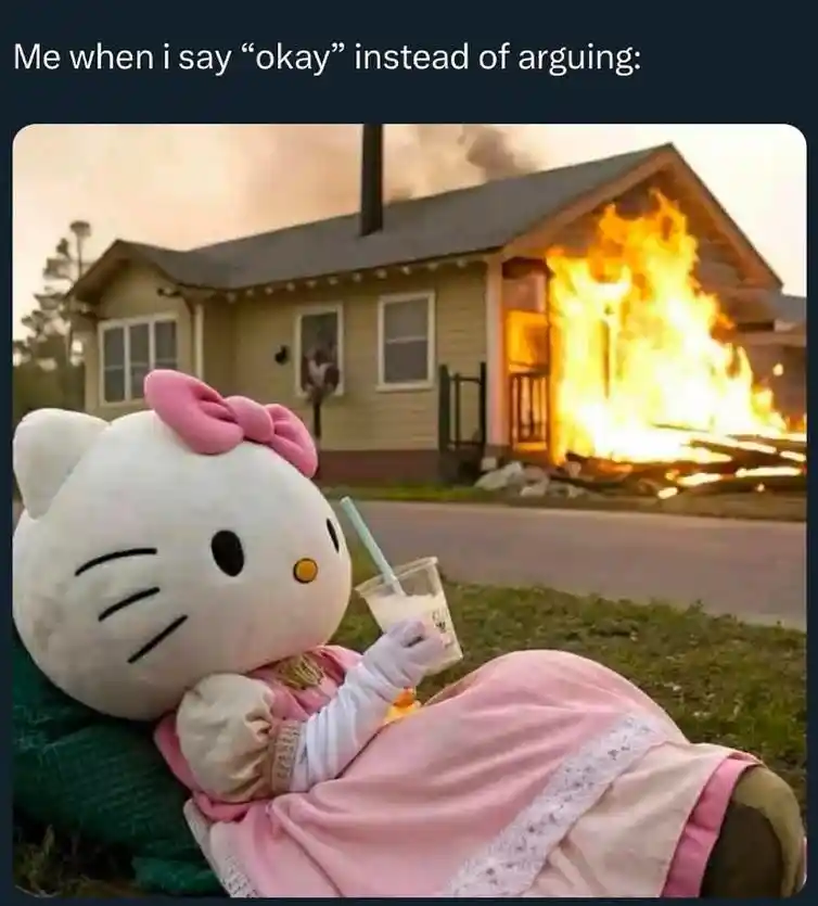 Hello kitty fire meme chills not arguing