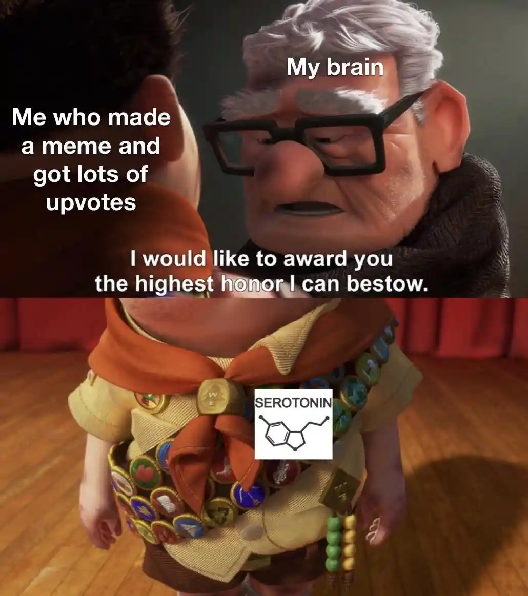 Meme upvotes serotonin meme feels great