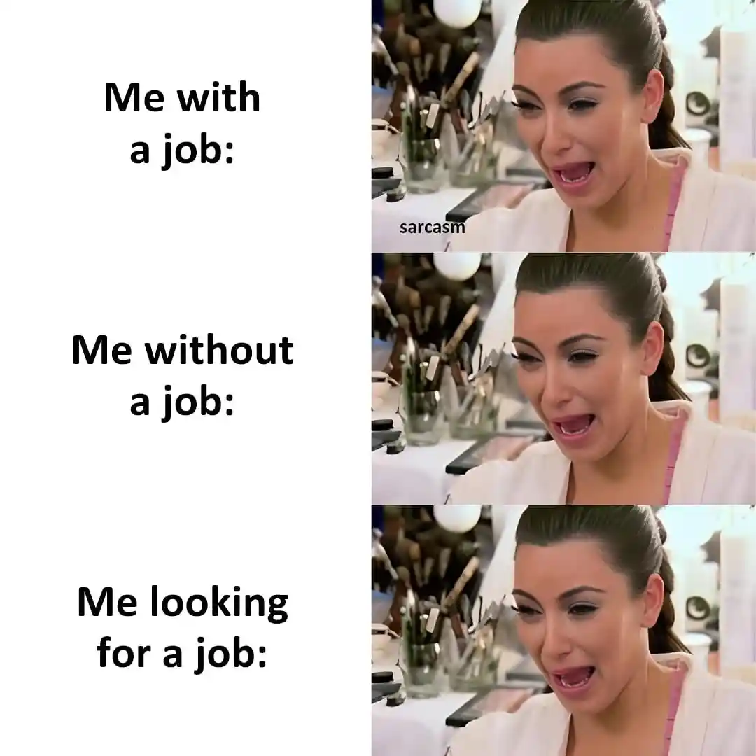 Job hunt meme showing relatable struggle