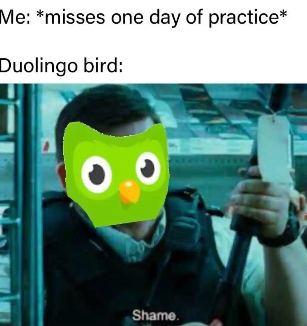 Duolingo bird meme shames for missing practice