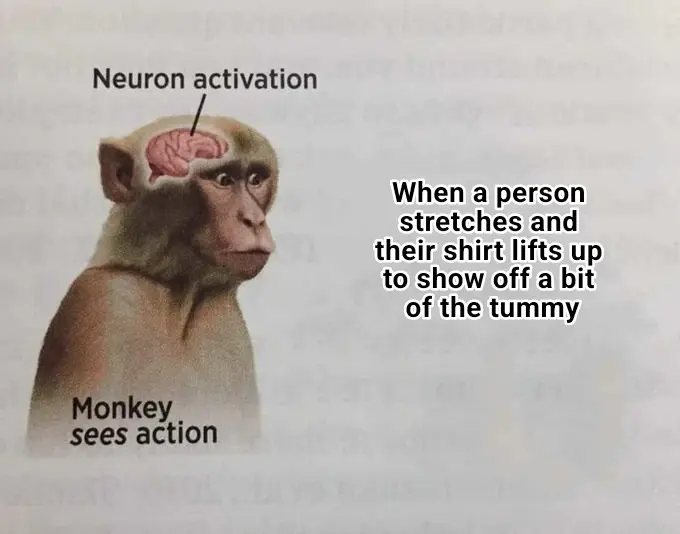 Neuron activation meme sees tummy peek