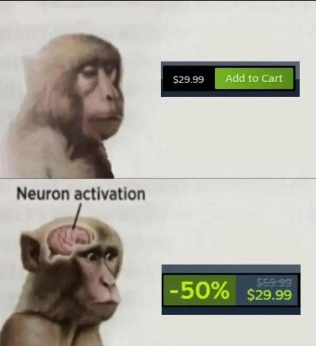 Neuron activation meme falls for fake discount sale