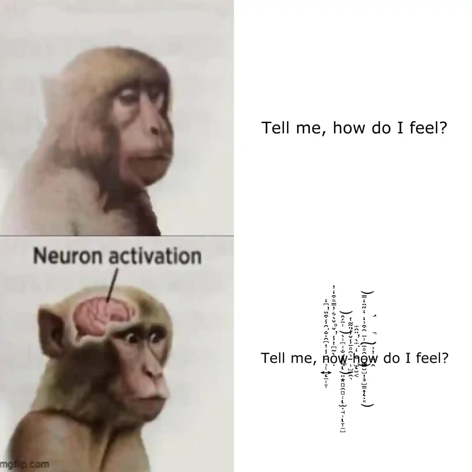 Neuron activation meme asks how he feels