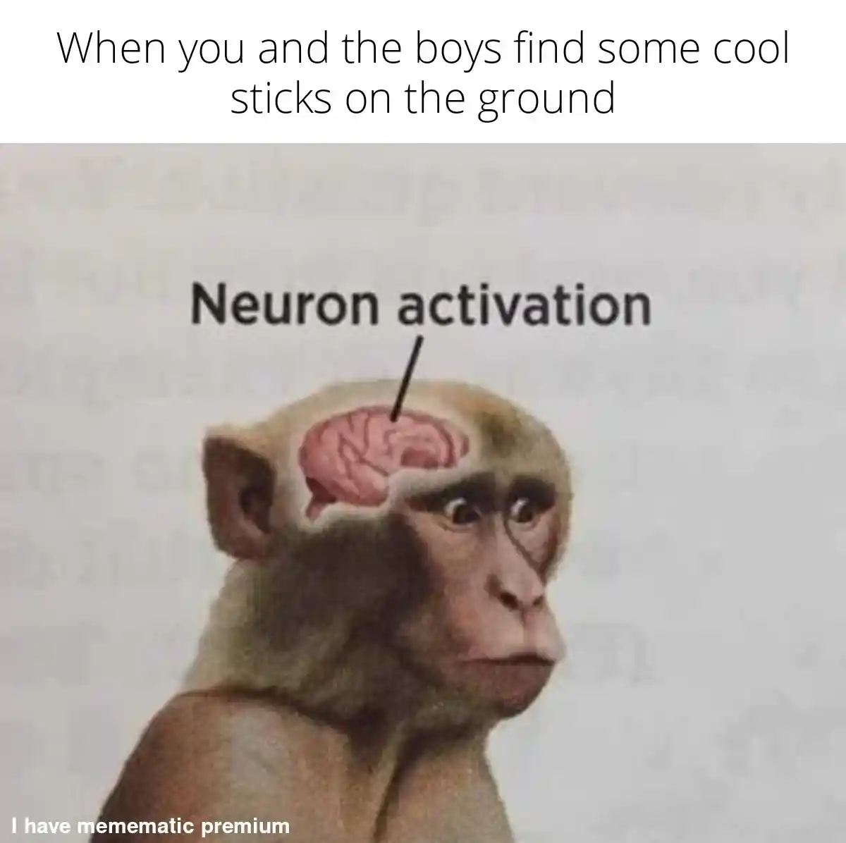Neuron activation meme find cool sticks with boys