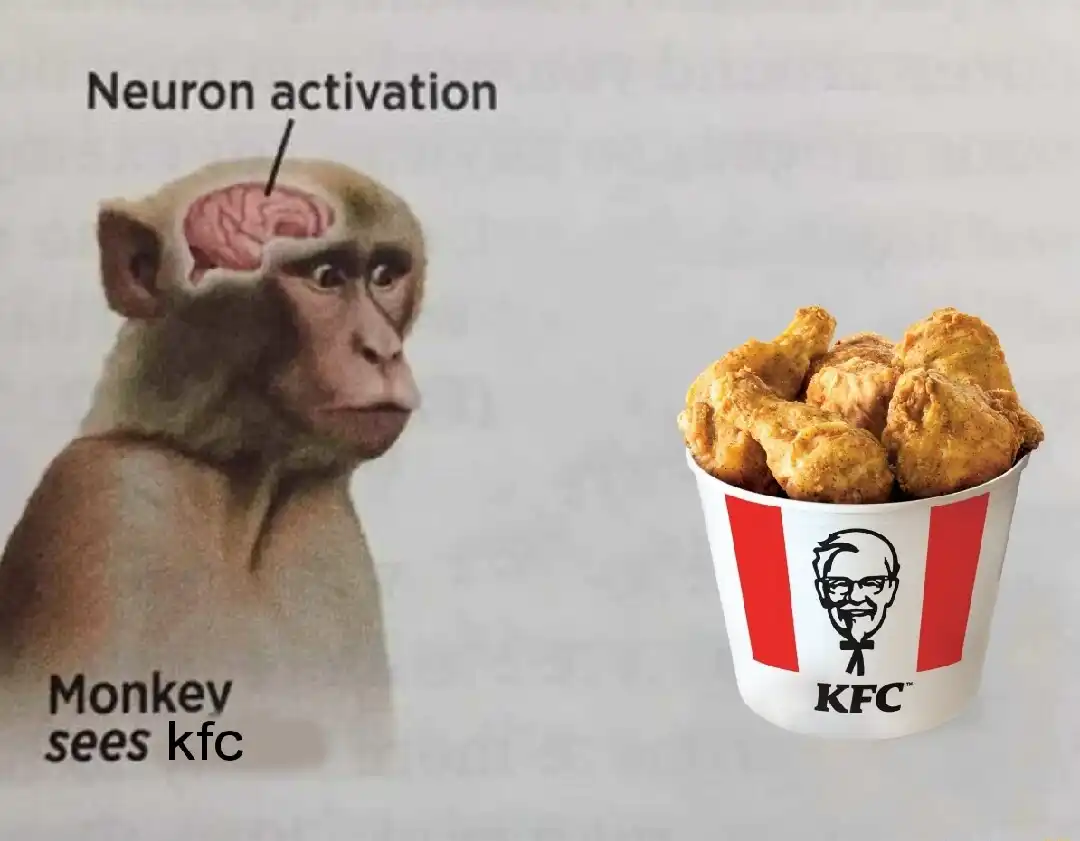 Neuron activation meme monkey sees kfc