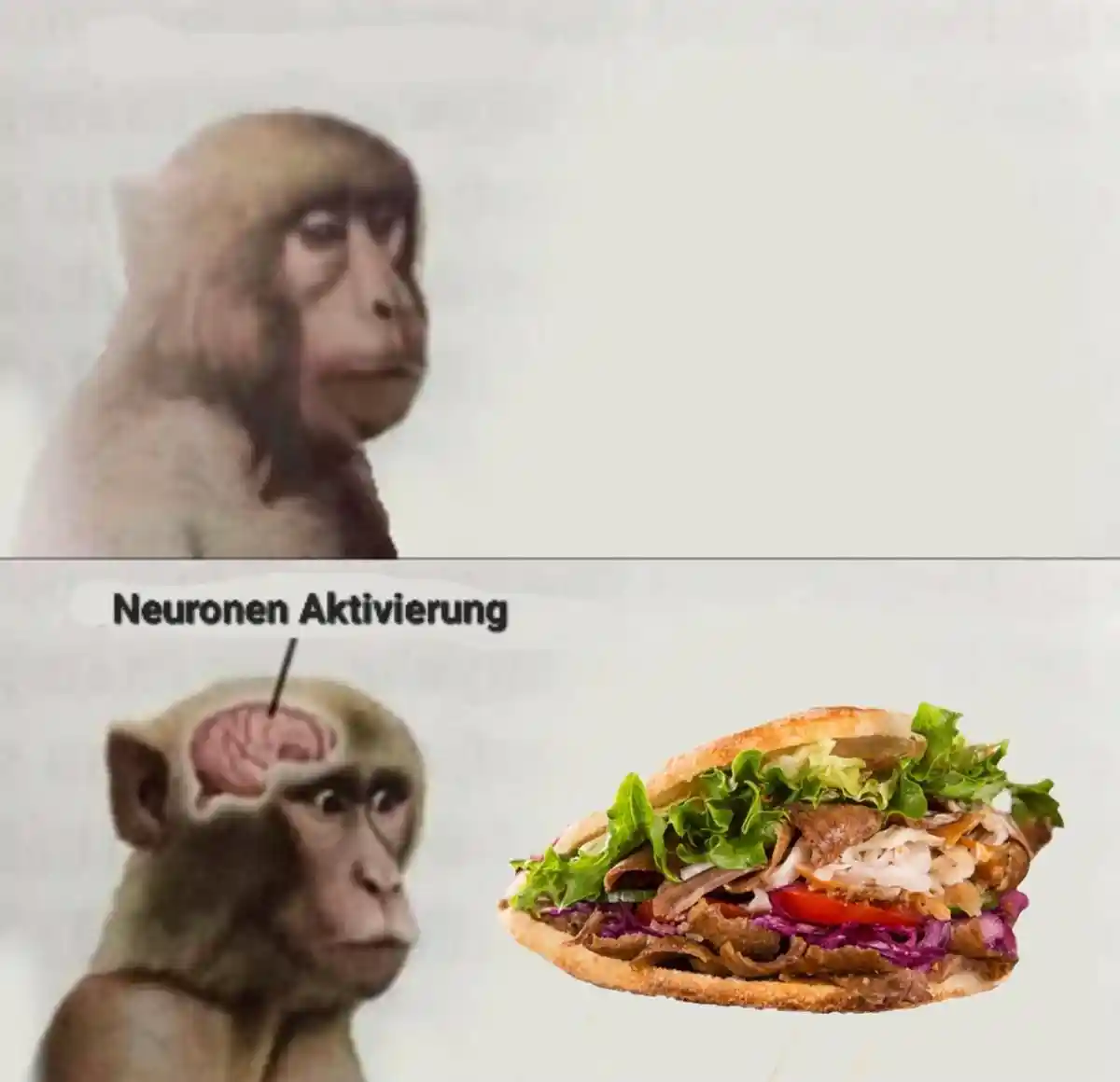 Neuron activation meme craving for kebab
