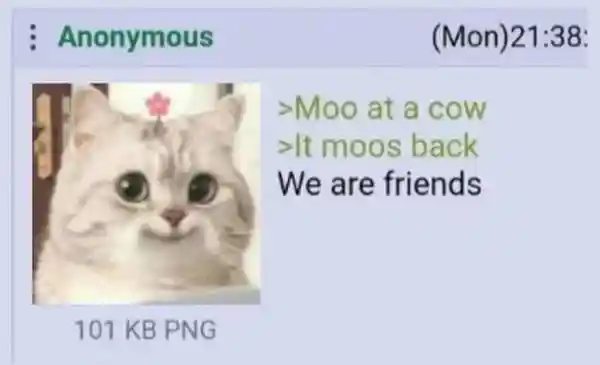 Moo at a cow meme get nice moo response