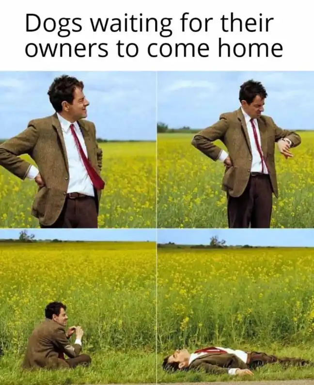 Mr bean waiting meme waiting for owners to come home