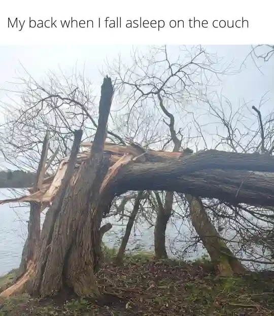 Sore back couch nap meme is broken tree
