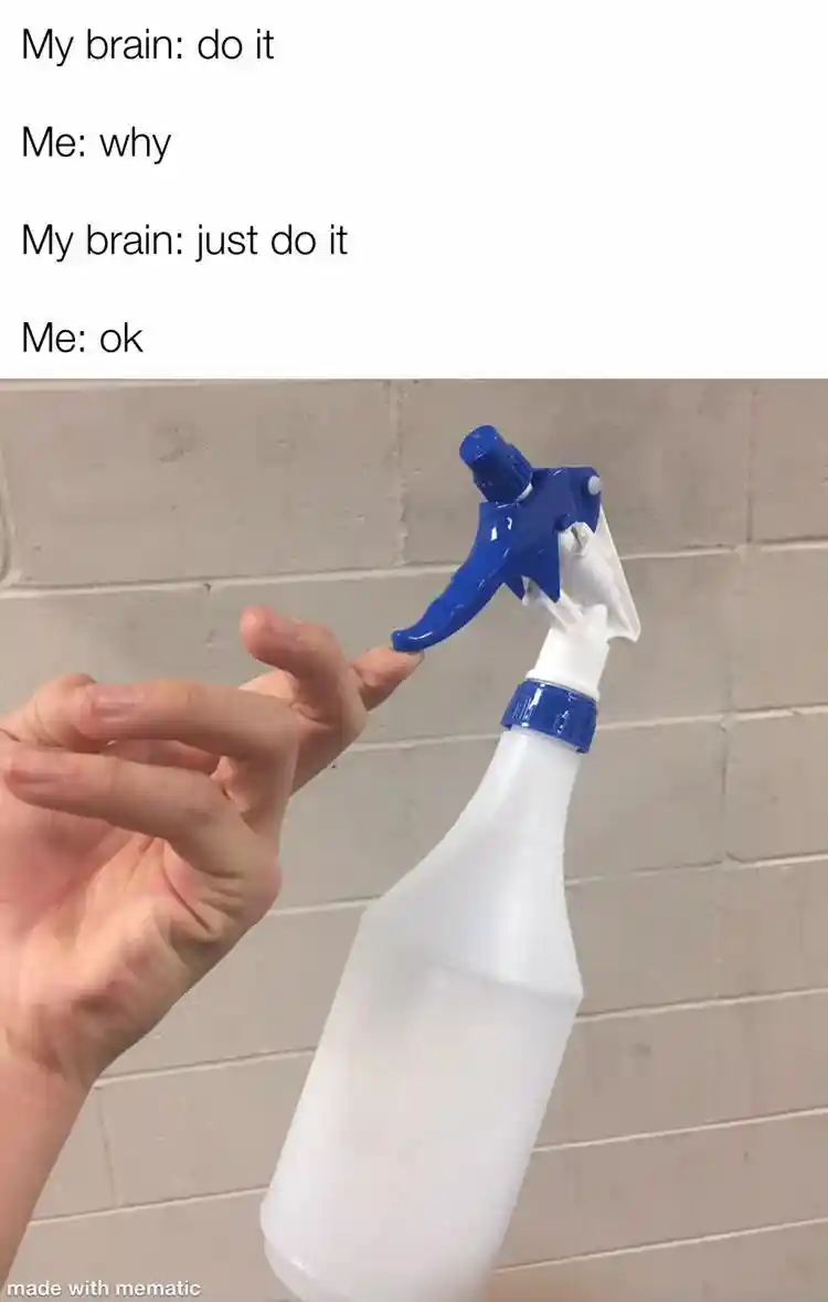 Spray bottle meme follow brain dumb urge