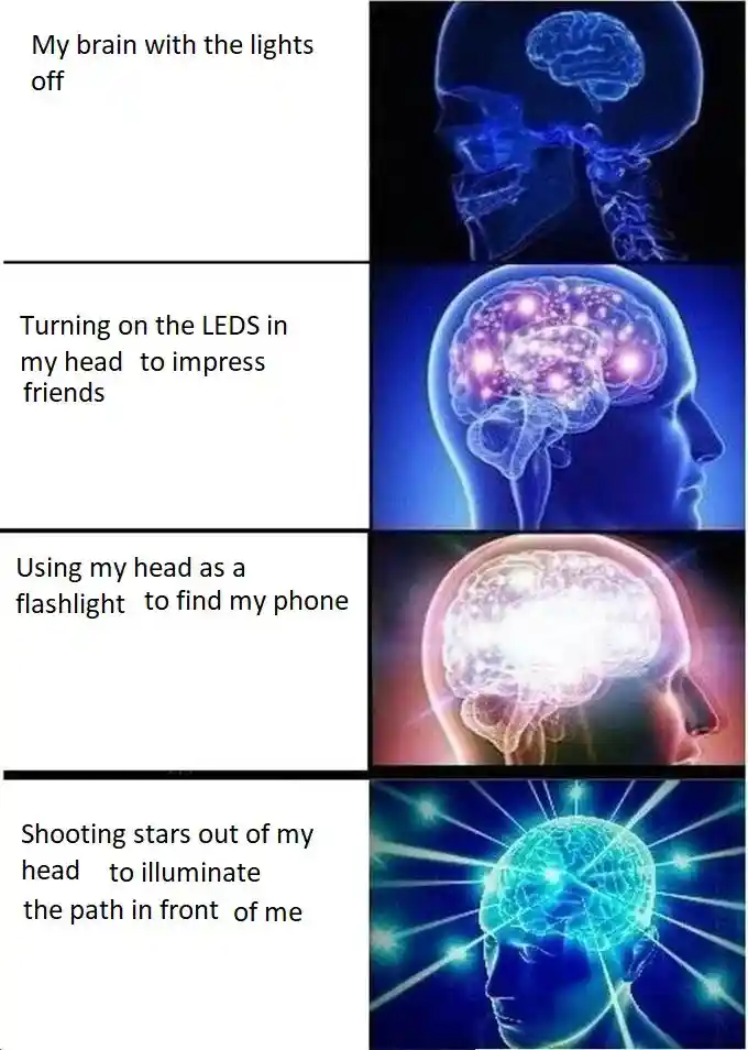 Brain light meme doing funny night tasks