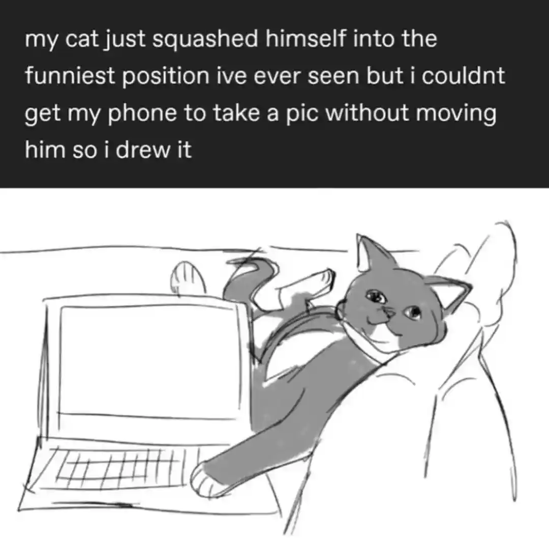 Cat squashed pose meme drawn by owner