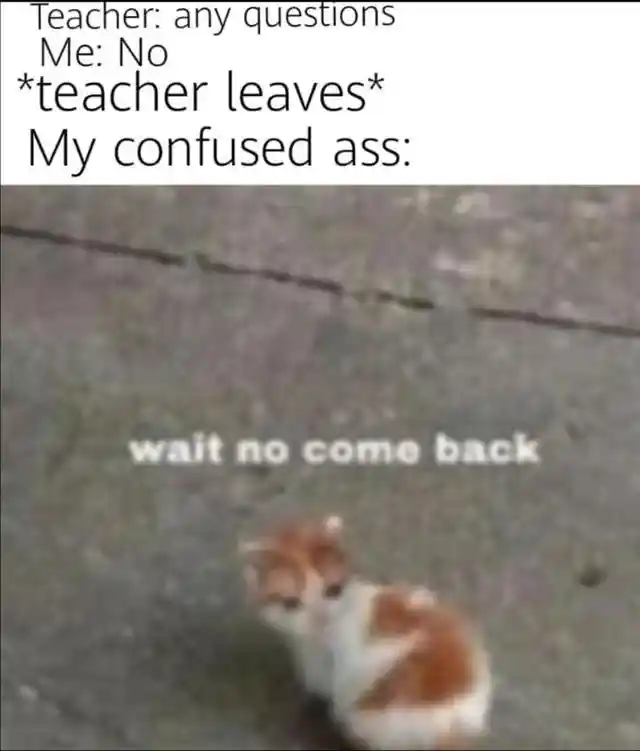 Wait no come back cat meme wants teacher to return