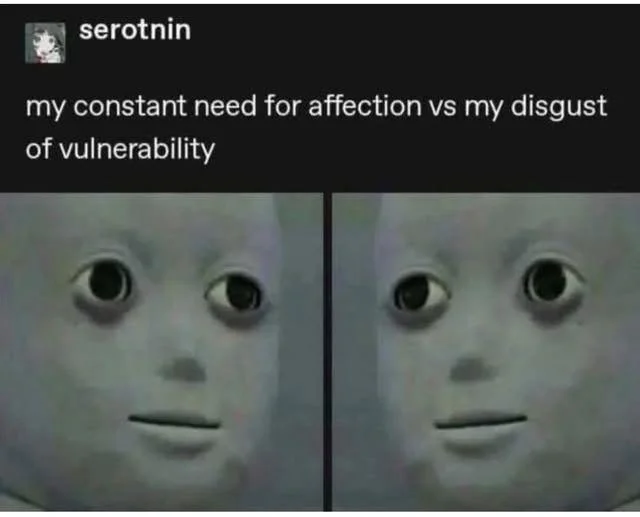 Need for affection meme showing conflict