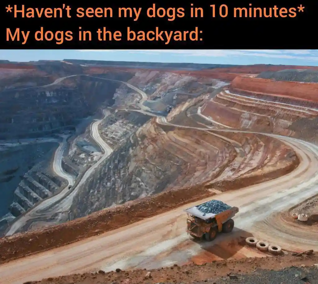 Lost dogs meme digging backyard open pit