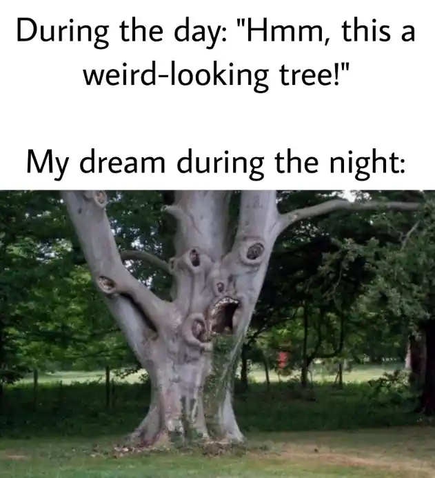 Weird face tree meme in your night dream