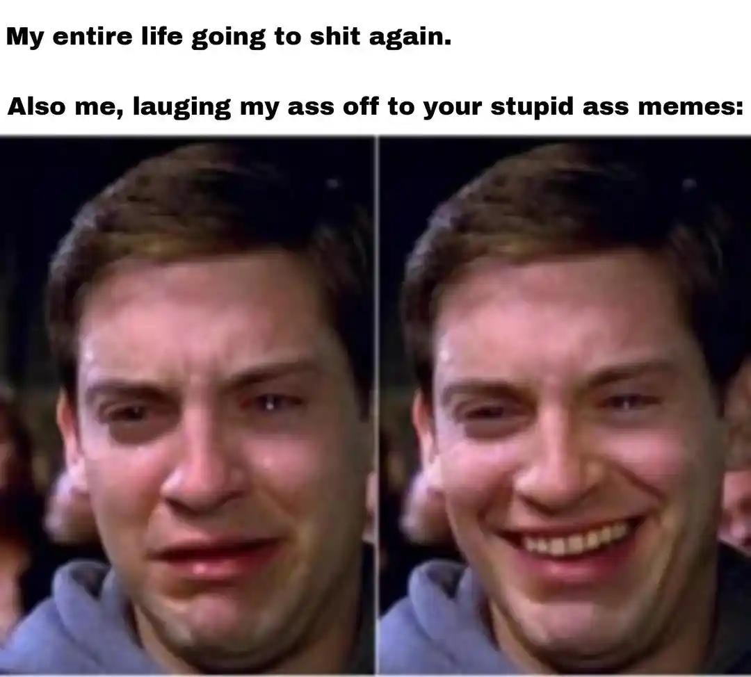 Crying peter parker meme laughs at memes