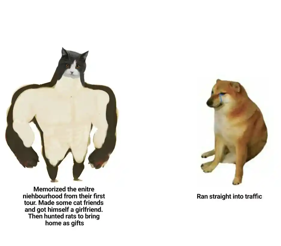 Buff cat vs crying dog meme showing two pet fates