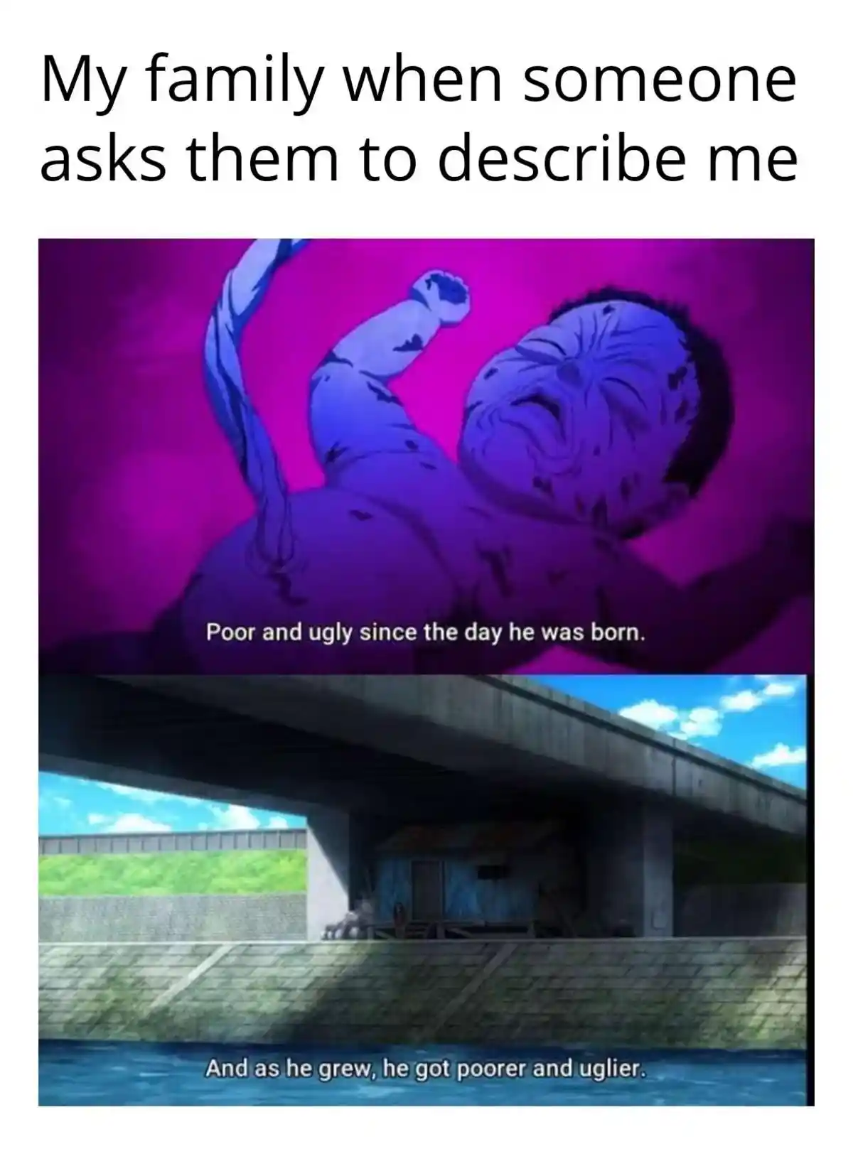 Family describe me meme saying i am poor and ugly