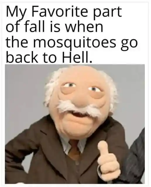Fall mosquito meme glad mosquitoes go back to hell