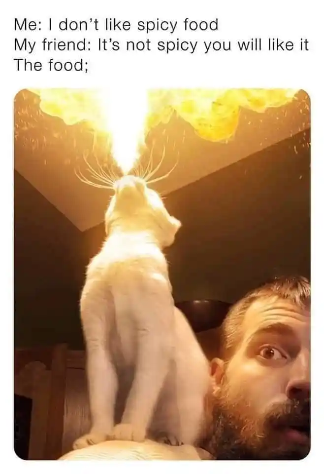 Spicy food cat meme breathing hot fire