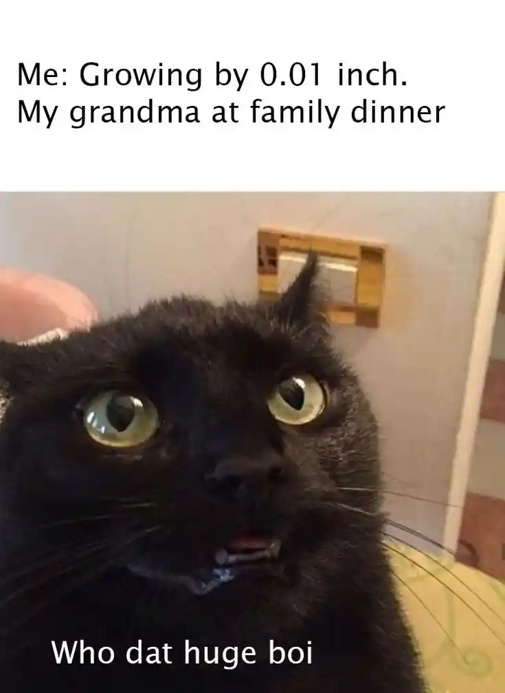 Grandma dinner meme calls you huge boi