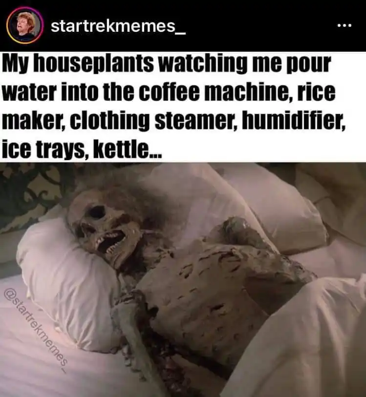 Houseplant meme starve see you use water