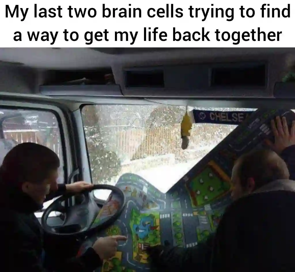 Last two brain cells meme fixing life