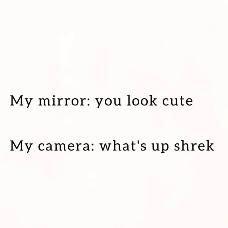 Mirror vs camera shrek meme funny joke