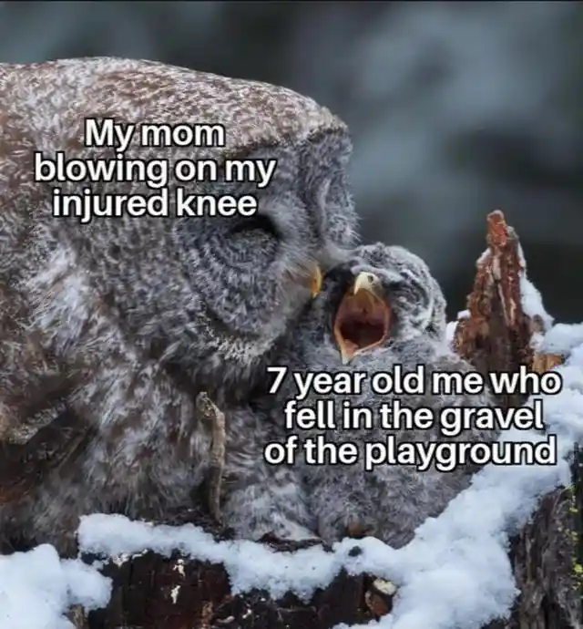 Mom blowing hurt knee meme soothing sad kid