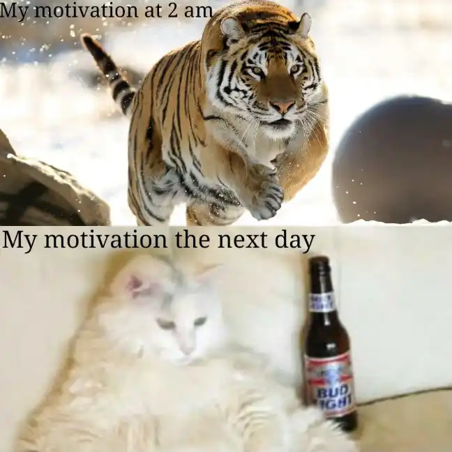 2Am motivation meme slumps next day
