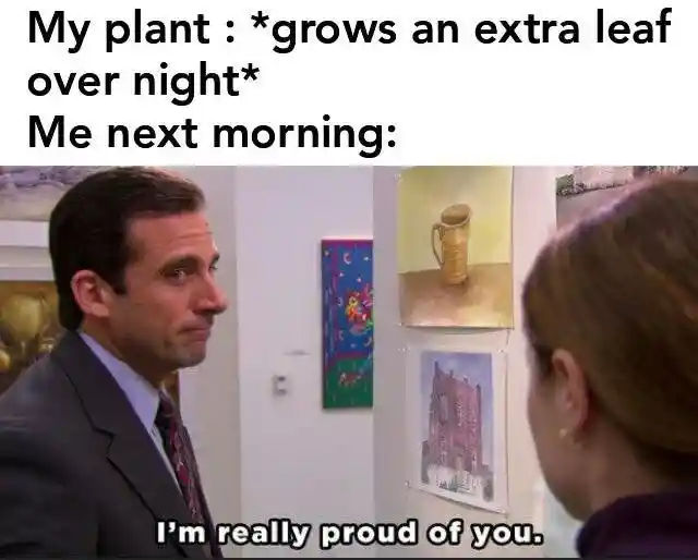 Plant extra leaf meme feels proud of it