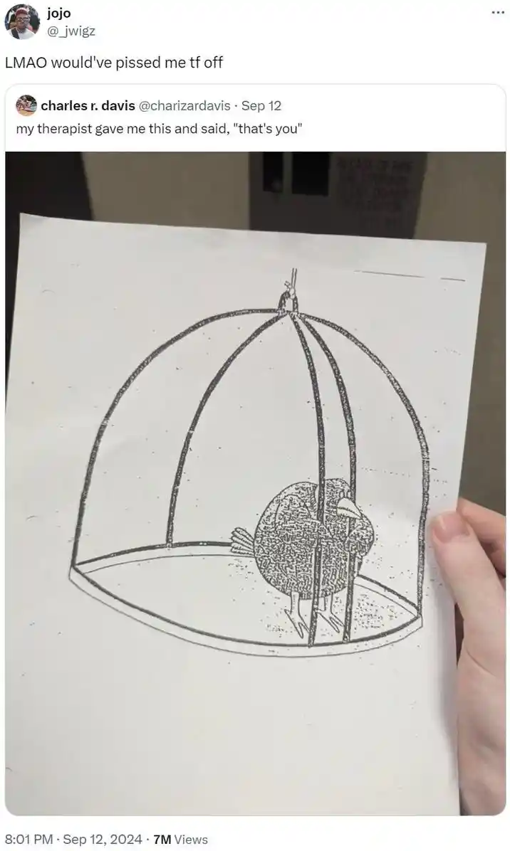 Therapist caged bird pic meme mad moment