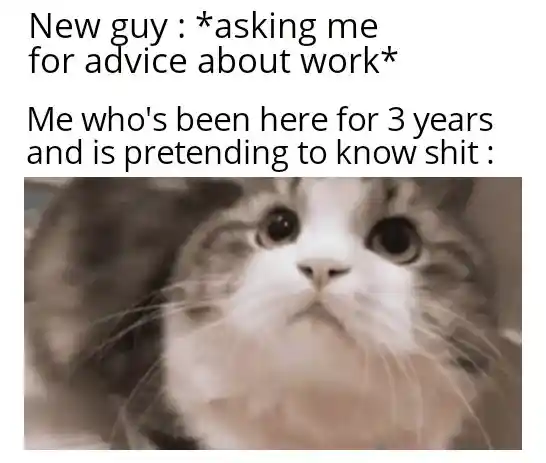 New guy work advice meme pretending to know shit