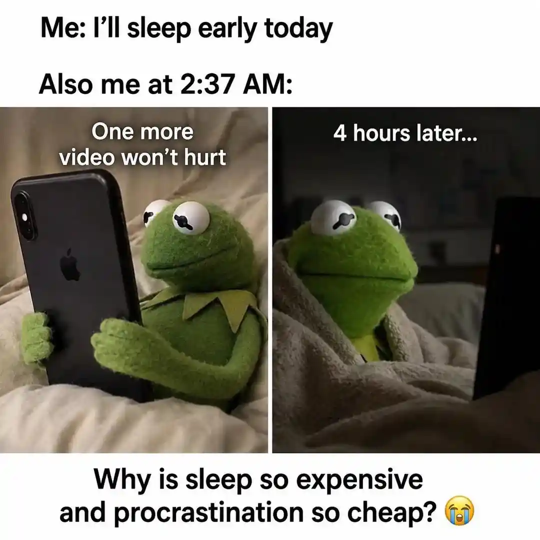 Kermit meme staying up late on phone