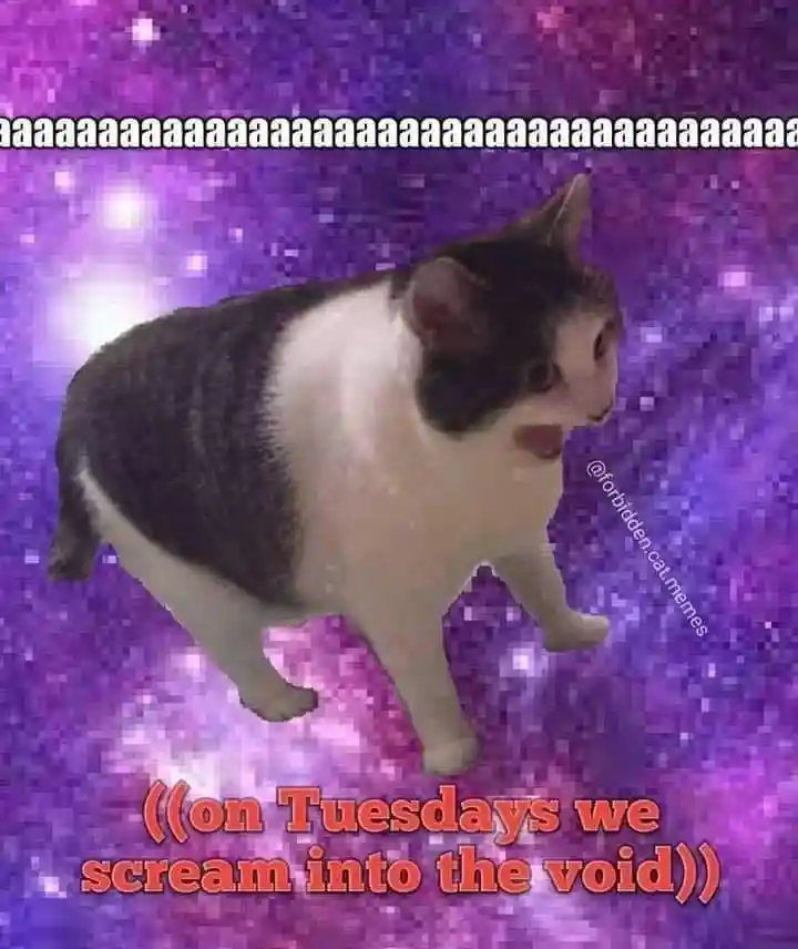Cat scream meme yell into void tuesdays