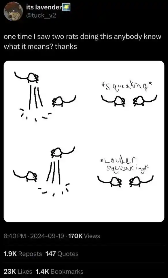 Two rats spinning meme squeaking loudly