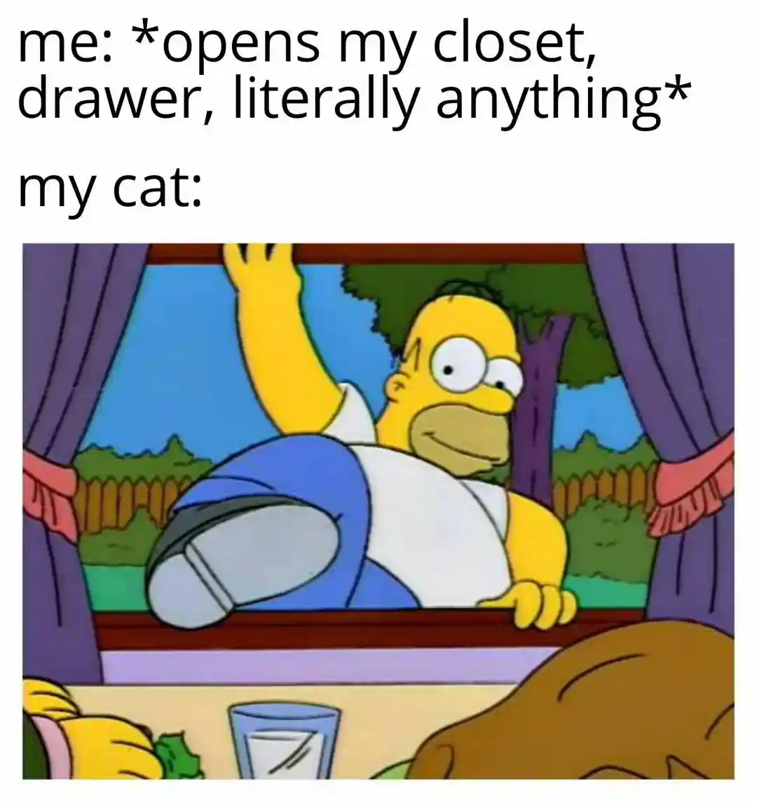 My cat meme sneaking through open gaps