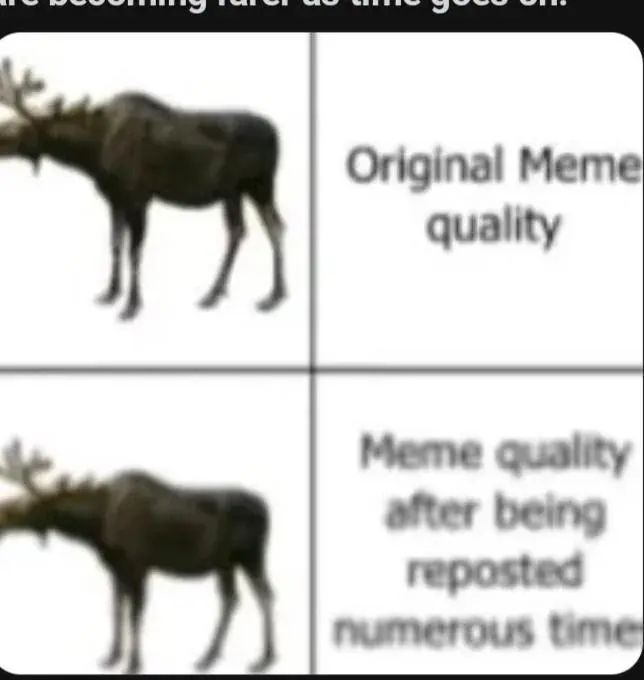 Moose meme shows quality loss after reposts