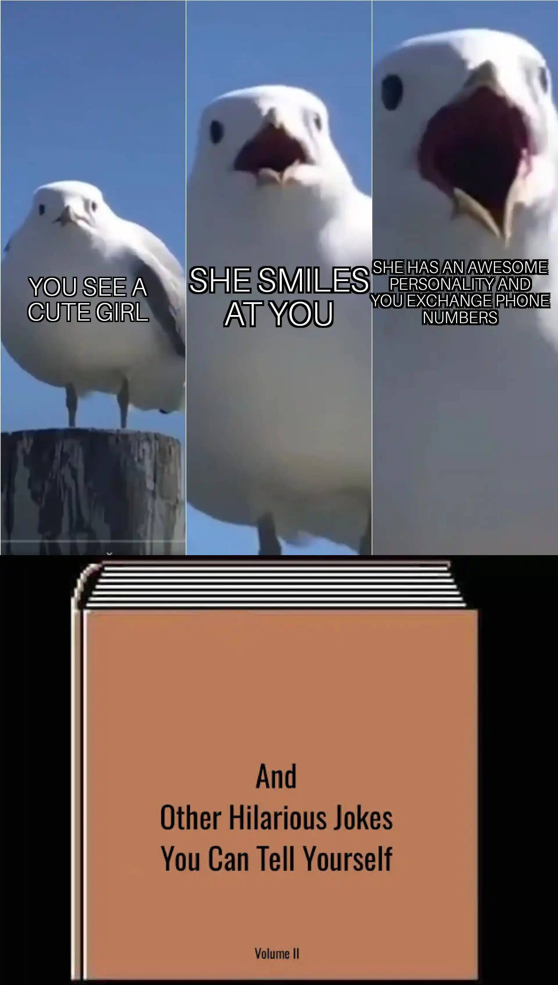 Seagull dating meme mocking your silly romantic delusions