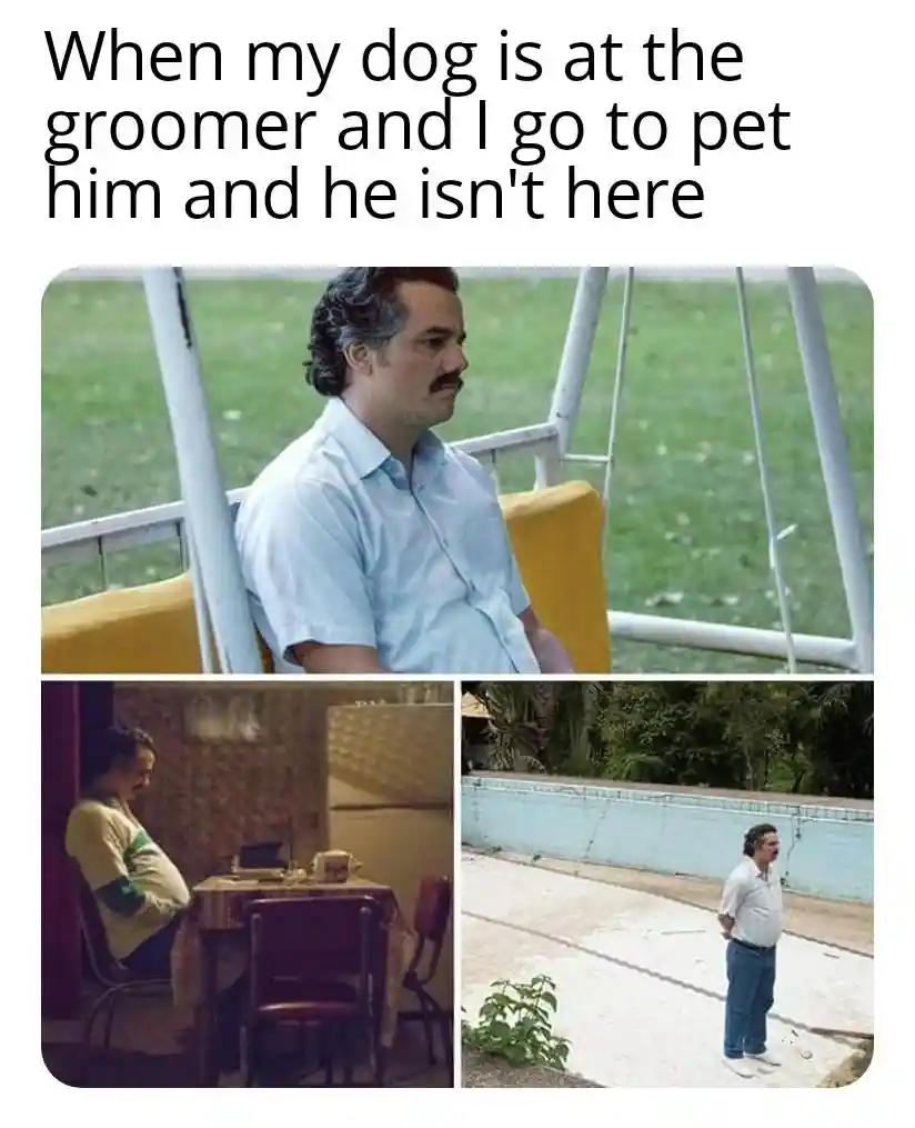 Pablo escobar waiting meme looking for dog at groomer