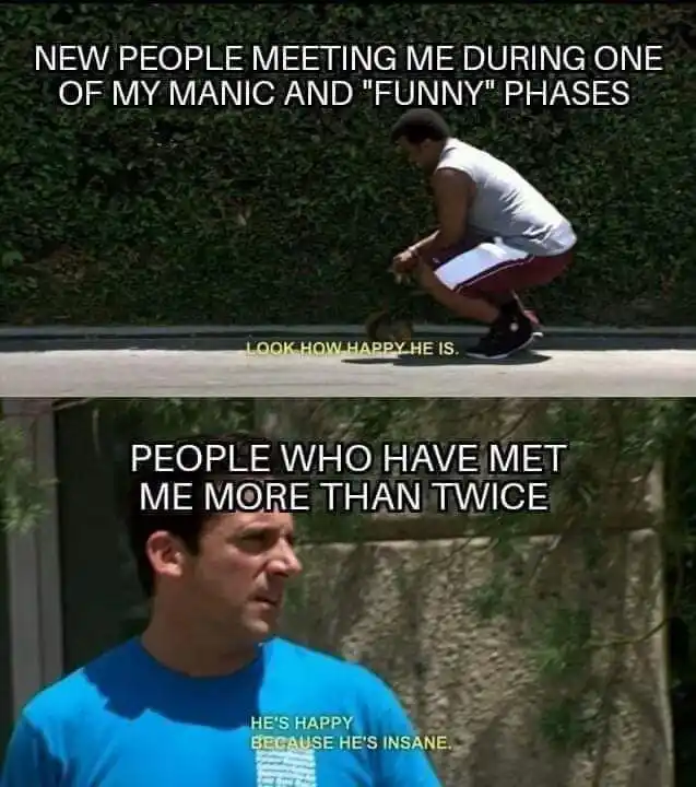 Manic phase meme people misread you