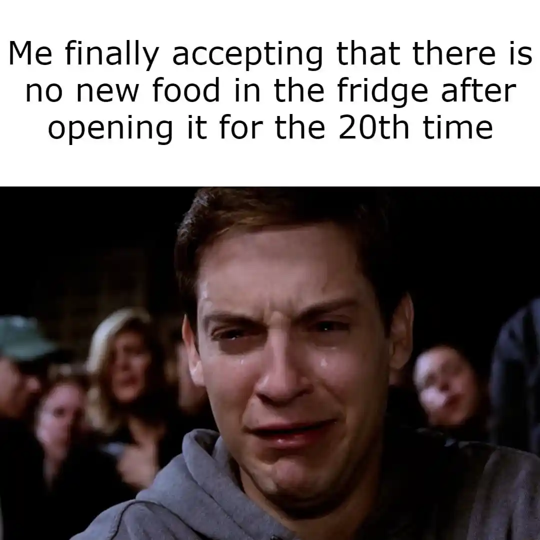 Crying Peter Parker meme sad no new food in fridge