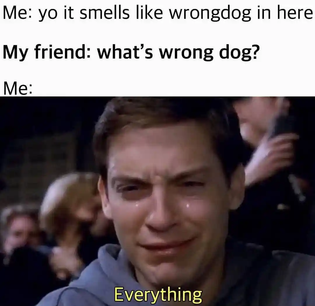 Crying Peter Parker meme sad at pun fail
