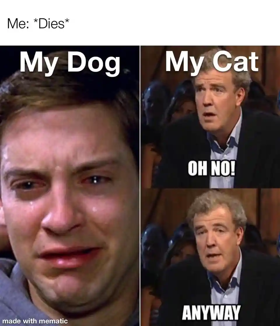 Crying Peter Parker meme sad dog vs indifferent cat after owner dies