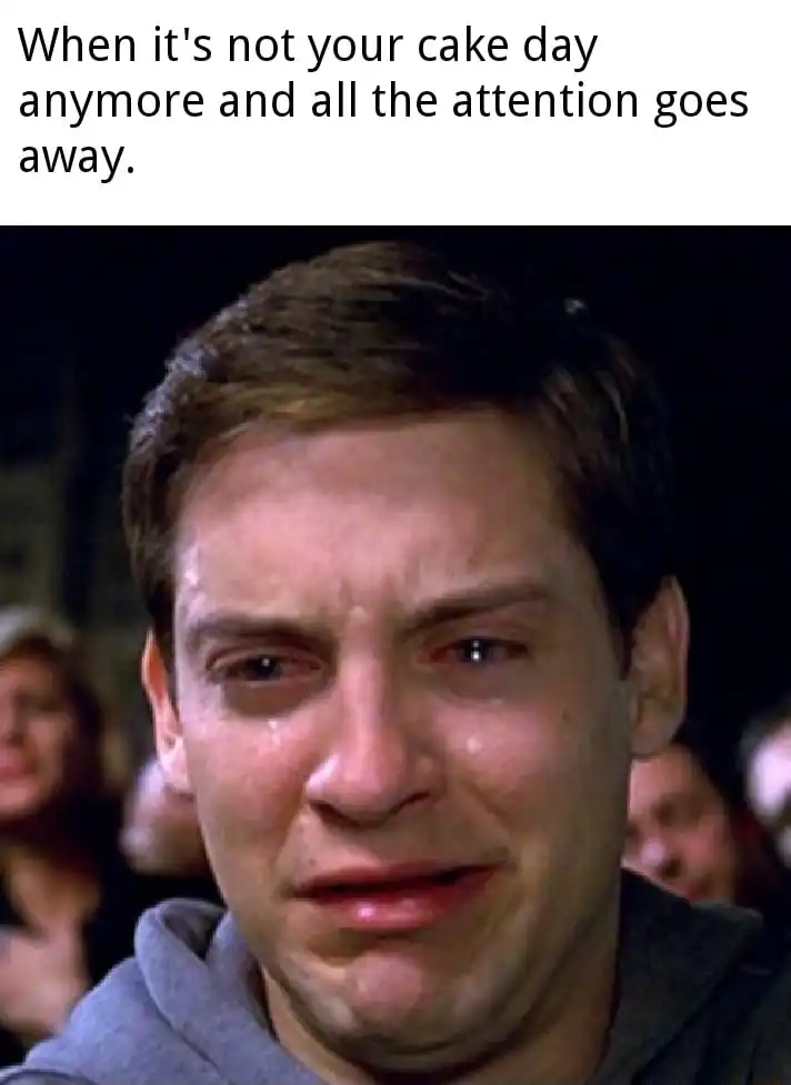 Crying Peter Parker meme sad post cake day ends