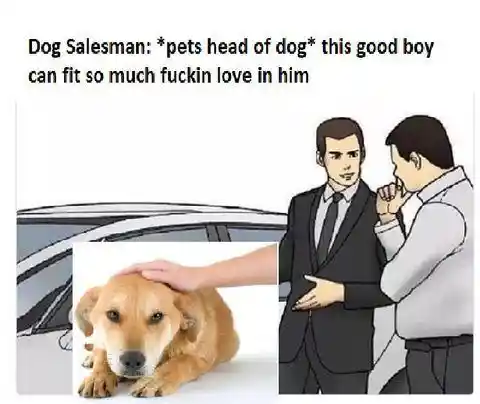 Dog salesman meme hyping loving good boy