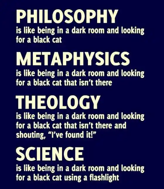 Philosophy meme find black cat dark room