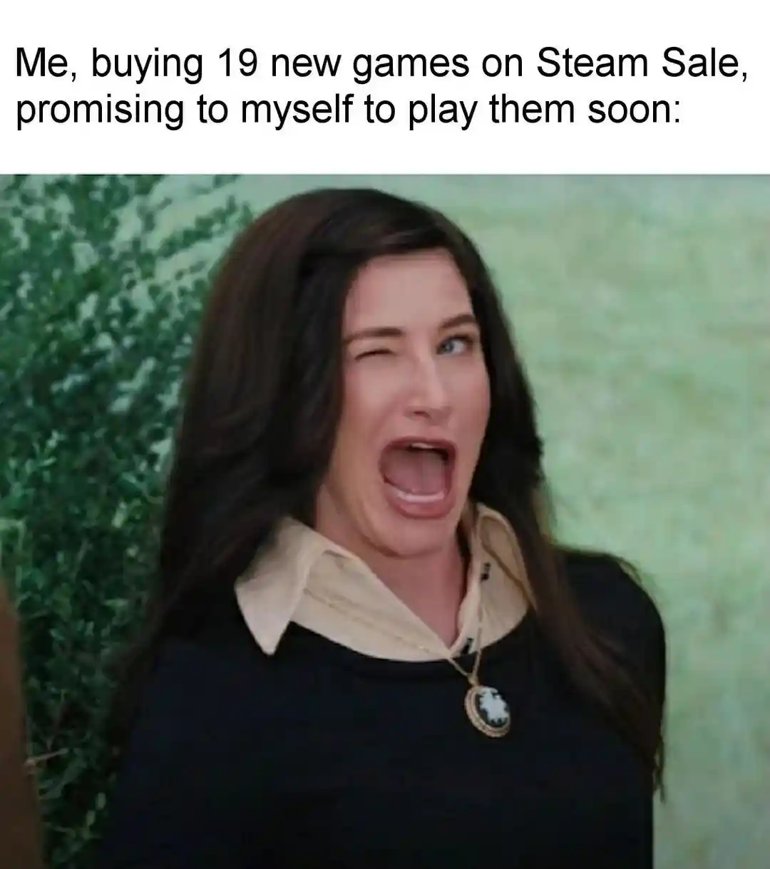 Steam sale spree meme vowing to play games soon