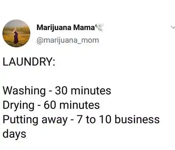 Laundry meme joke about delaying chores